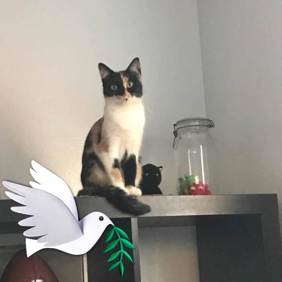 Meet your Posher, Paul - Picture 1 of 1